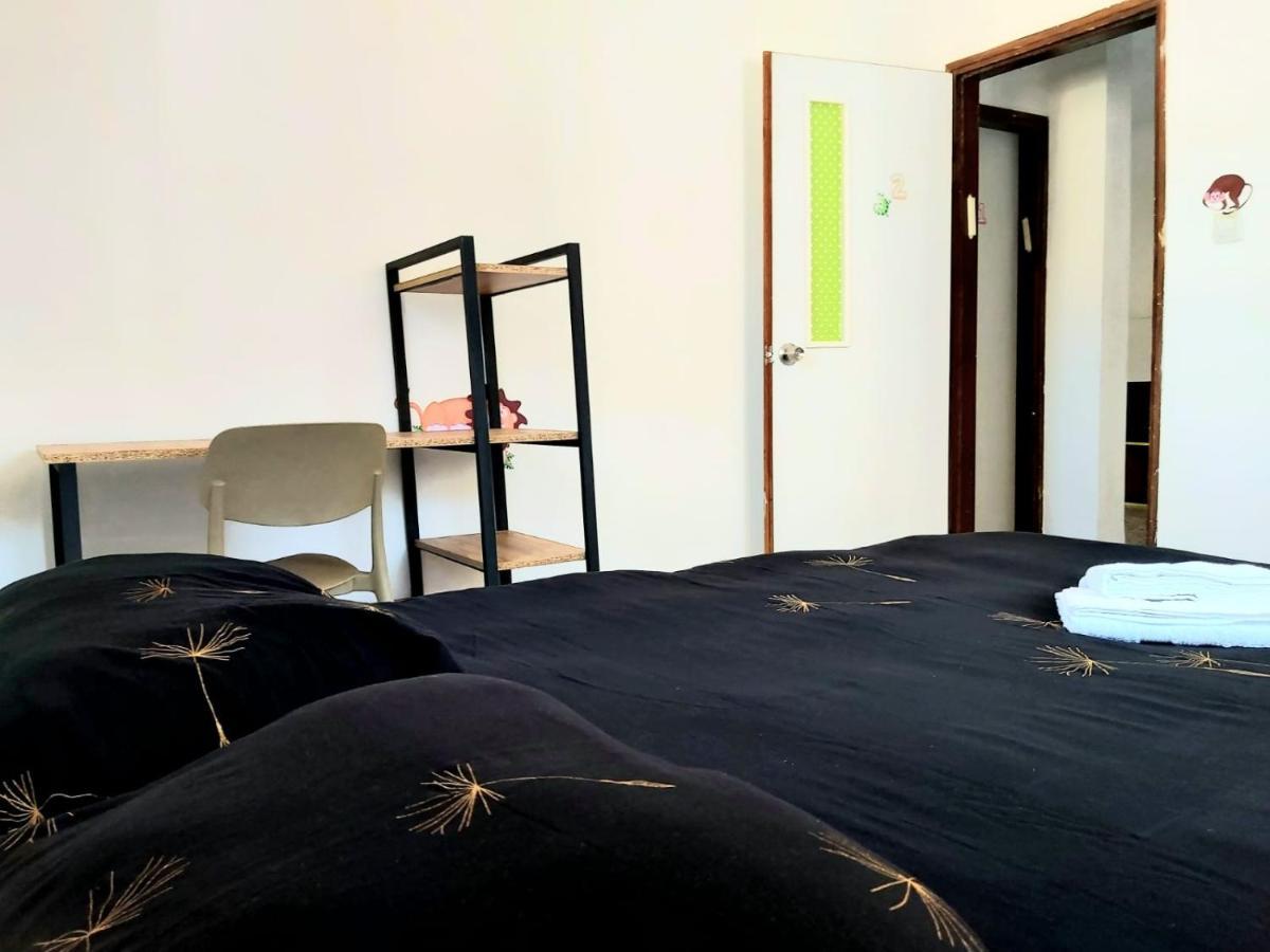 Turtle Guesthouse- ティベリア エクステリア 写真