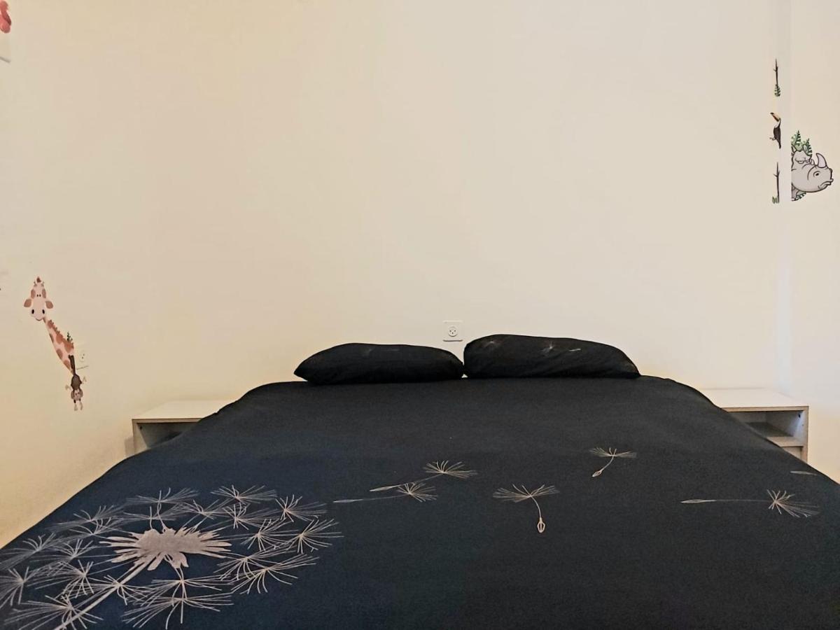 Turtle Guesthouse- ティベリア エクステリア 写真
