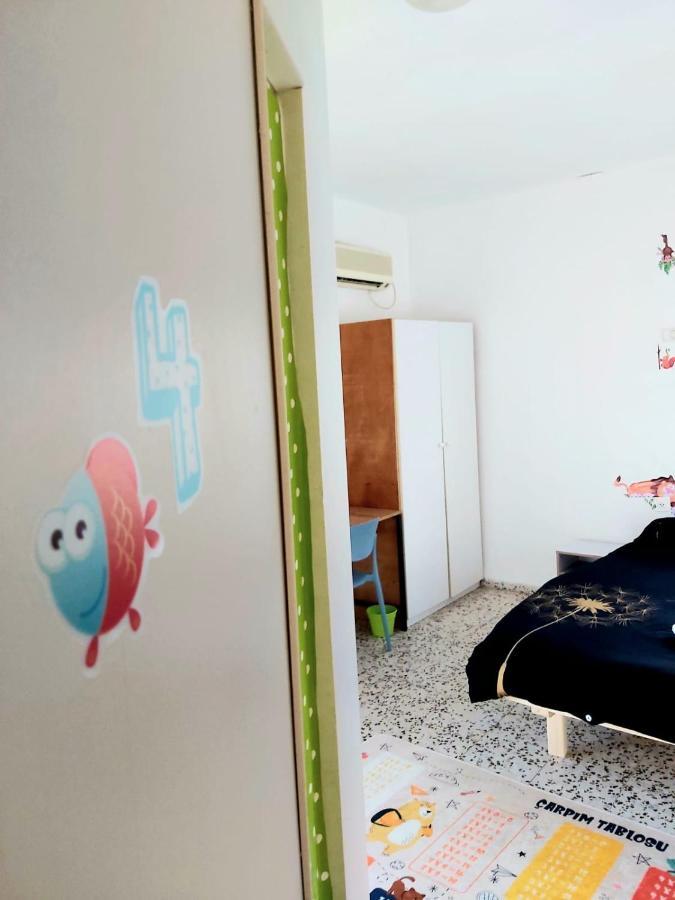 Turtle Guesthouse- ティベリア エクステリア 写真