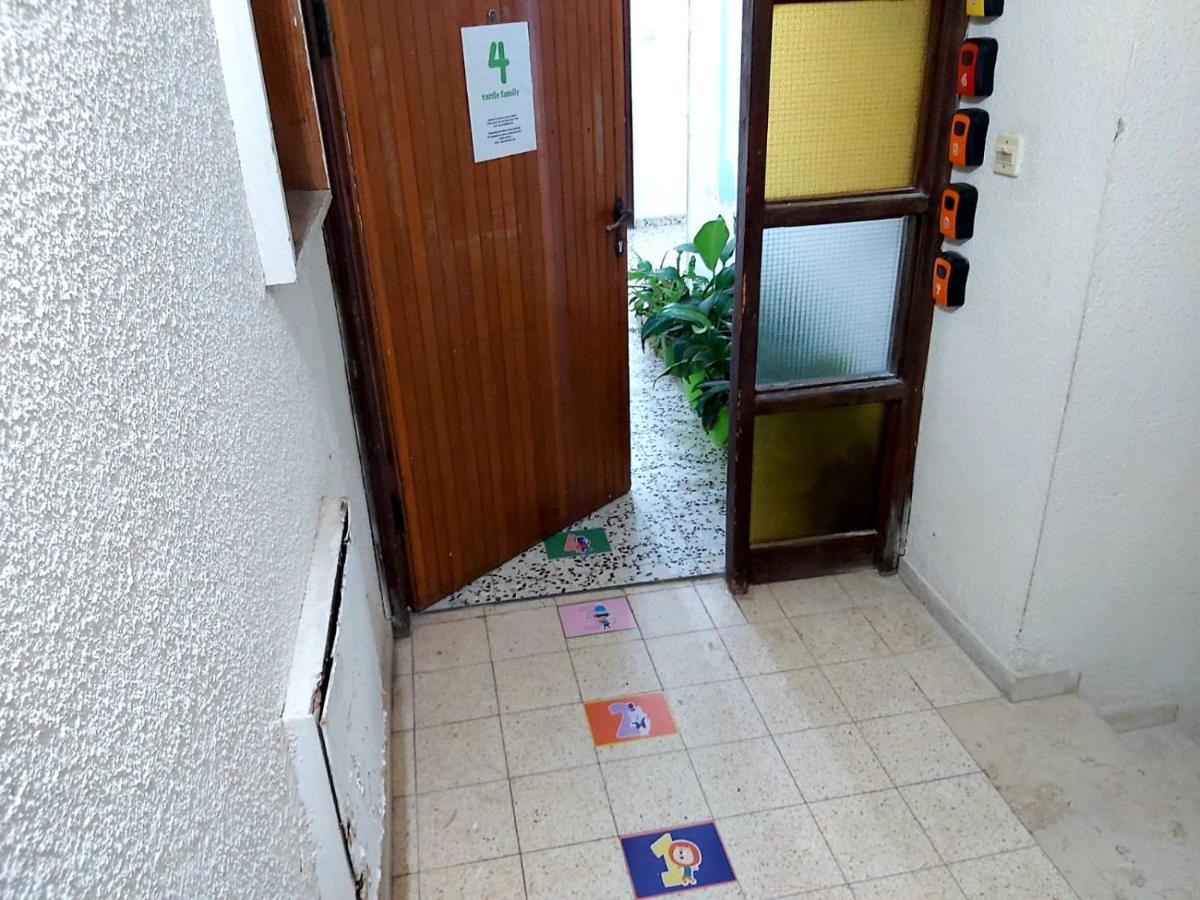 Turtle Guesthouse- ティベリア エクステリア 写真